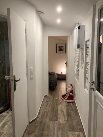 Appartement Mozart Strasbourg Eksteriør bilde